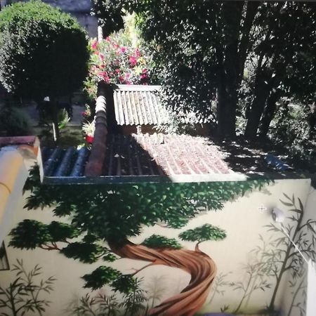 Suite Oisivete Avec Terrasse Vue Sur Patio Et Clim Montpellier Kültér fotó